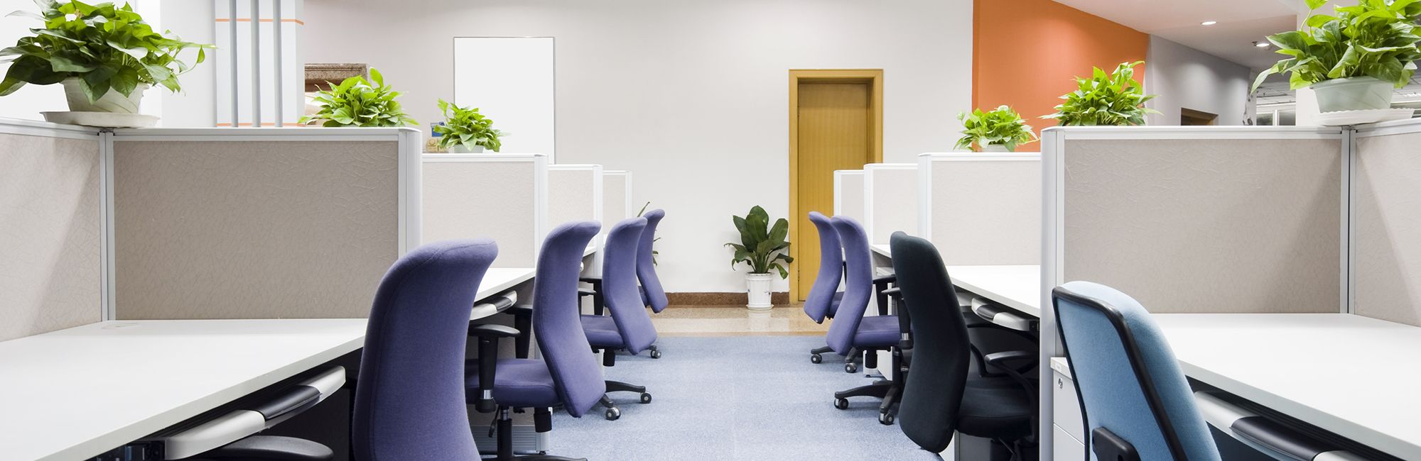 Office Cleans